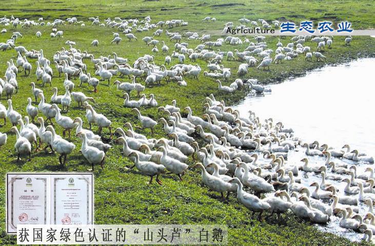 綏化望奎縣農(nóng)牧場配套恒壓給水設備+生活水箱